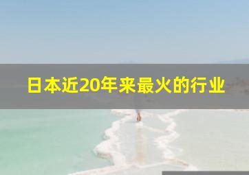 日本近20年来最火的行业