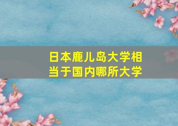 日本鹿儿岛大学相当于国内哪所大学