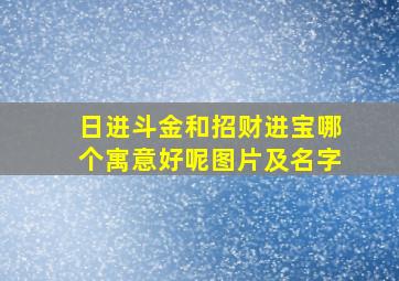 日进斗金和招财进宝哪个寓意好呢图片及名字