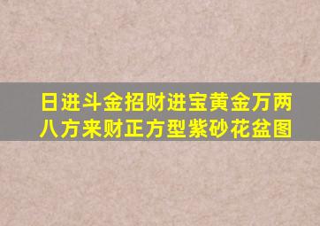 日进斗金招财进宝黄金万两八方来财正方型紫砂花盆图