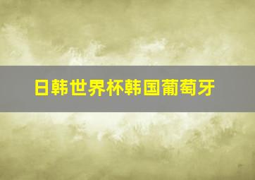 日韩世界杯韩国葡萄牙