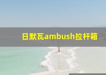 日默瓦ambush拉杆箱