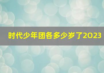 时代少年团各多少岁了2O23