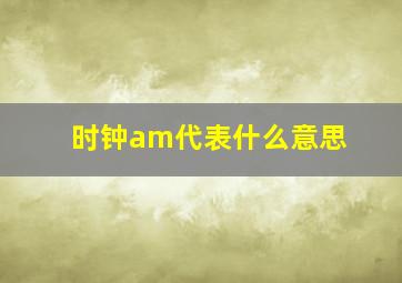 时钟am代表什么意思