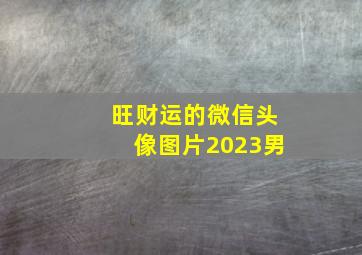 旺财运的微信头像图片2023男