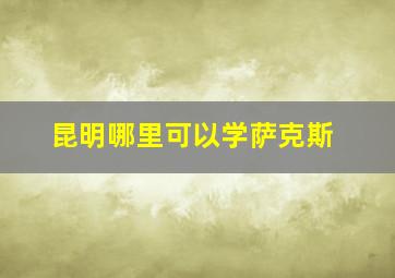 昆明哪里可以学萨克斯