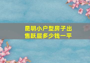 昆明小户型房子出售跃层多少钱一平