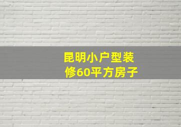 昆明小户型装修60平方房子