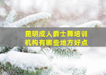 昆明成人爵士舞培训机构有哪些地方好点