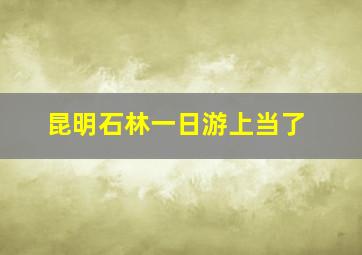 昆明石林一日游上当了