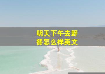 明天下午去野餐怎么样英文