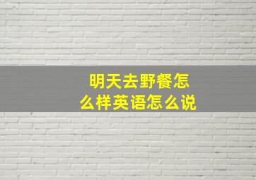 明天去野餐怎么样英语怎么说