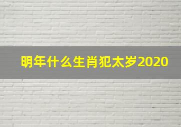 明年什么生肖犯太岁2020