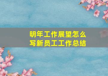 明年工作展望怎么写新员工工作总结