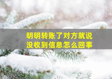 明明转账了对方就说没收到信息怎么回事