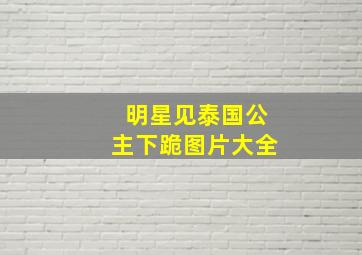 明星见泰国公主下跪图片大全