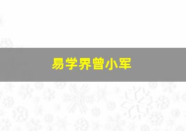 易学界曾小军