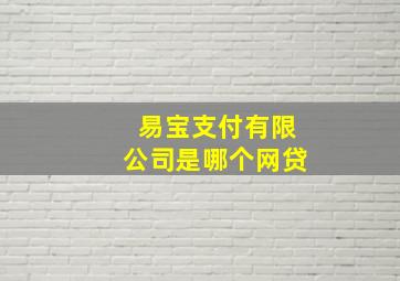 易宝支付有限公司是哪个网贷