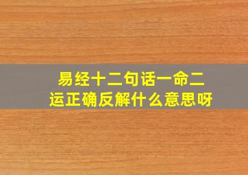 易经十二句话一命二运正确反解什么意思呀