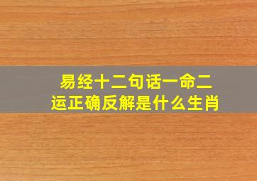 易经十二句话一命二运正确反解是什么生肖