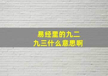 易经里的九二九三什么意思啊