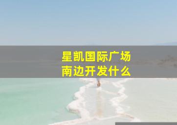 星凯国际广场南边开发什么