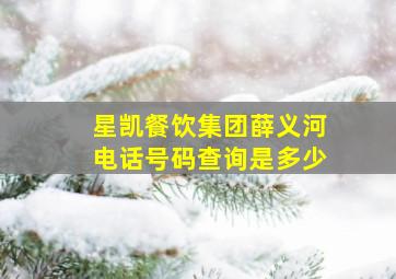 星凯餐饮集团薛义河电话号码查询是多少