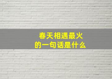 春天相遇最火的一句话是什么