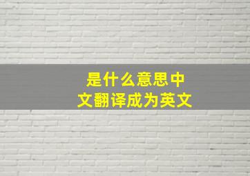 是什么意思中文翻译成为英文