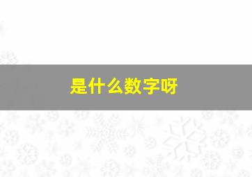 是什么数字呀