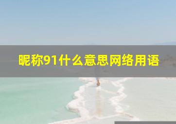 昵称91什么意思网络用语