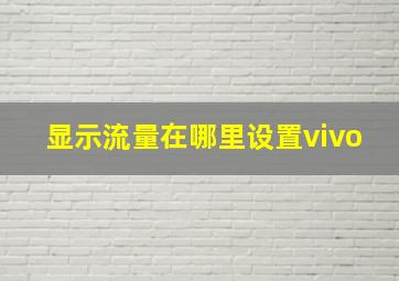 显示流量在哪里设置vivo