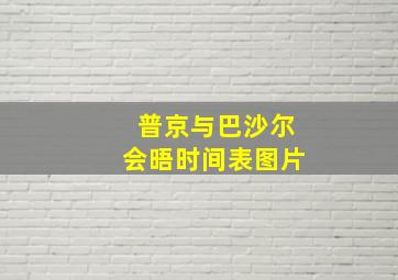 普京与巴沙尔会晤时间表图片