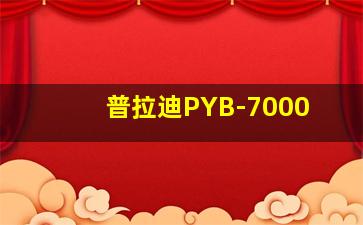 普拉迪PYB-7000