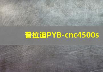 普拉迪PYB-cnc4500s