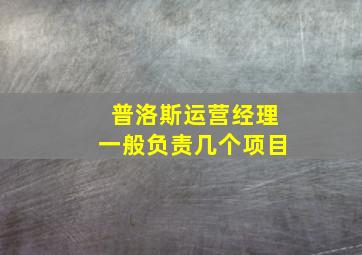 普洛斯运营经理一般负责几个项目