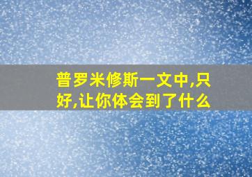 普罗米修斯一文中,只好,让你体会到了什么