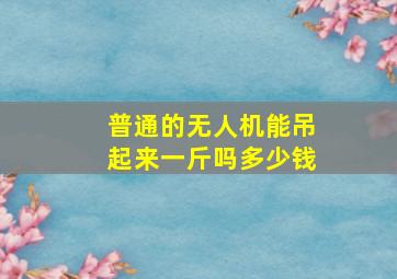 普通的无人机能吊起来一斤吗多少钱