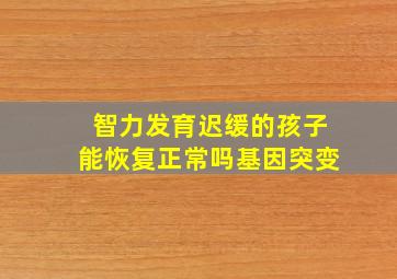 智力发育迟缓的孩子能恢复正常吗基因突变