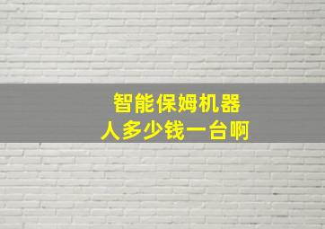 智能保姆机器人多少钱一台啊