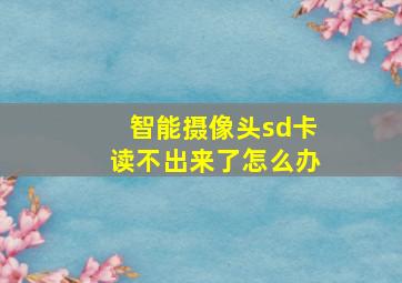 智能摄像头sd卡读不出来了怎么办