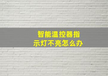 智能温控器指示灯不亮怎么办