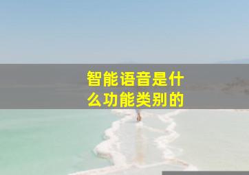 智能语音是什么功能类别的