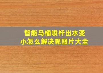 智能马桶喷杆出水变小怎么解决呢图片大全