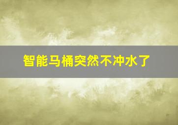 智能马桶突然不冲水了