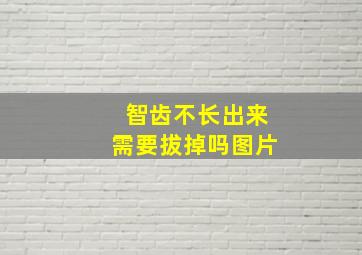 智齿不长出来需要拔掉吗图片