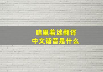 暗里着迷翻译中文谐音是什么