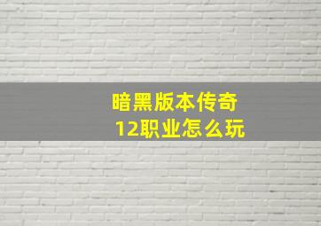 暗黑版本传奇12职业怎么玩