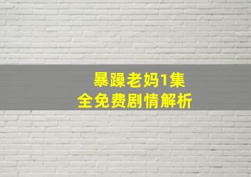 暴躁老妈1集全免费剧情解析