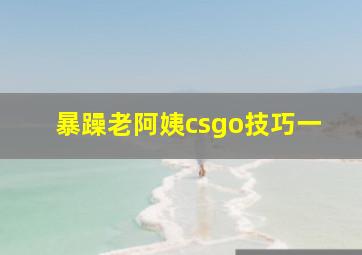 暴躁老阿姨csgo技巧一